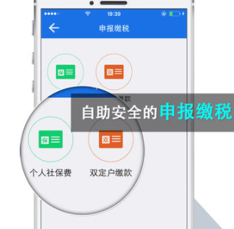 楚税通