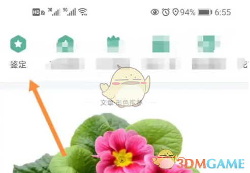 形色APP鉴定按钮
