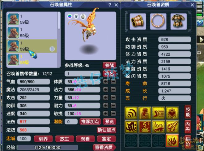 梦幻西游：他是49级的王者？装备仅6锻，12只宝宝净台须弥全有！