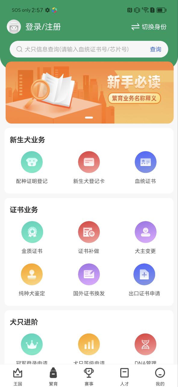 宠爱王国