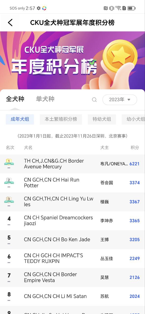 宠爱王国