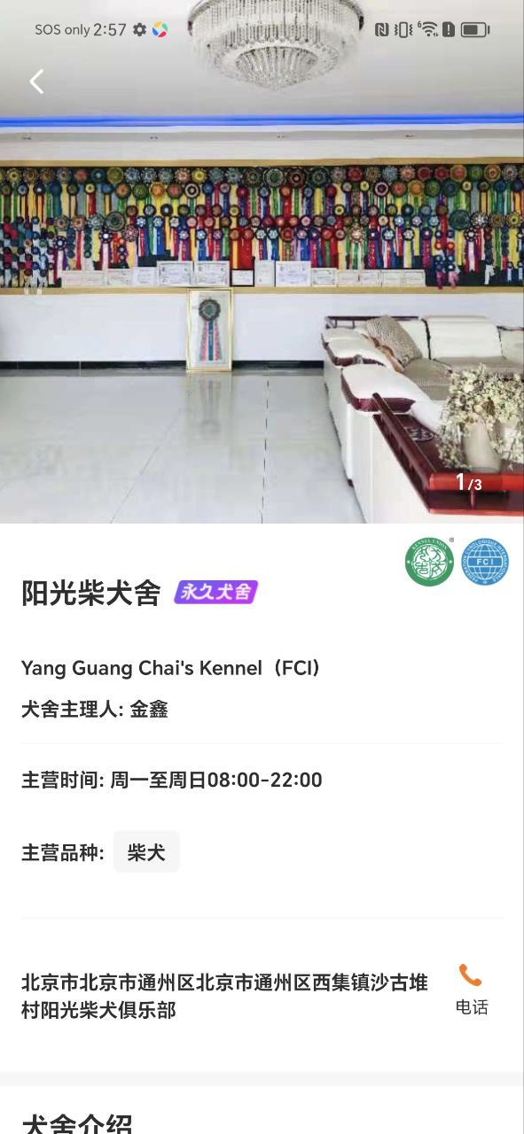 宠爱王国