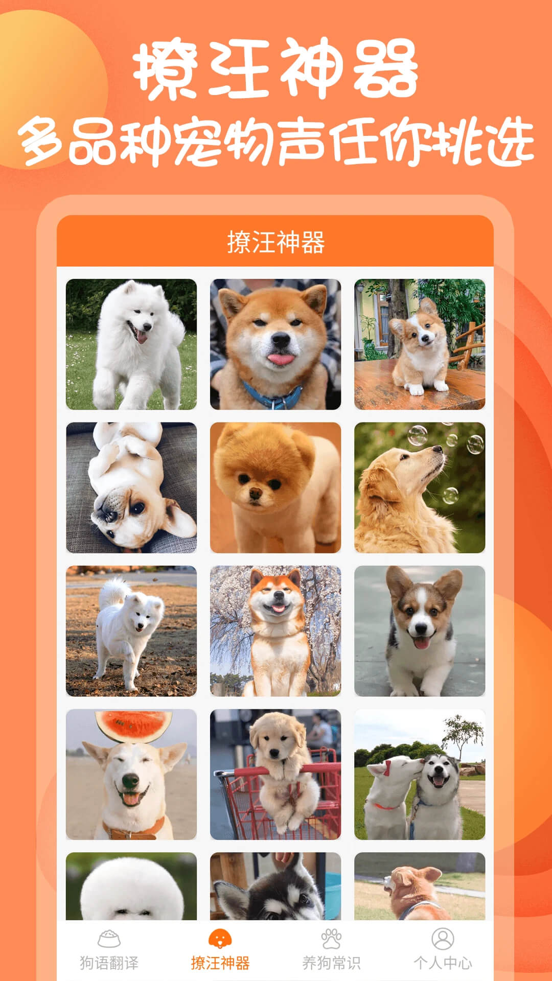 狗语交流翻译器
