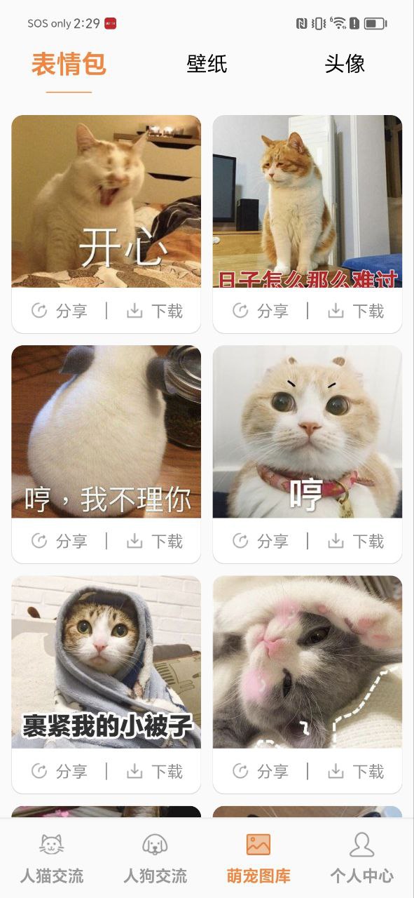 猫语翻译宝