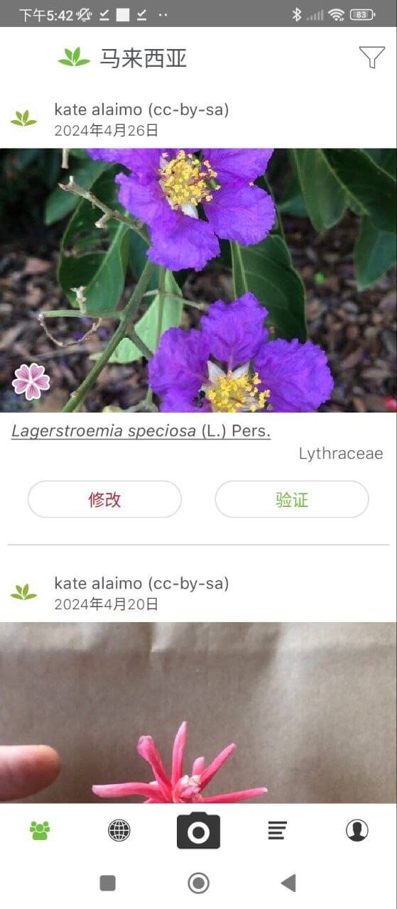 掌上植物网