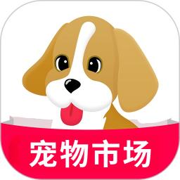 宠物市场