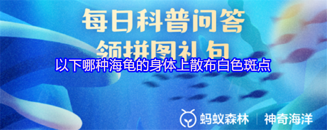《支付宝》海龟身上有哪些白色斑点的种类？