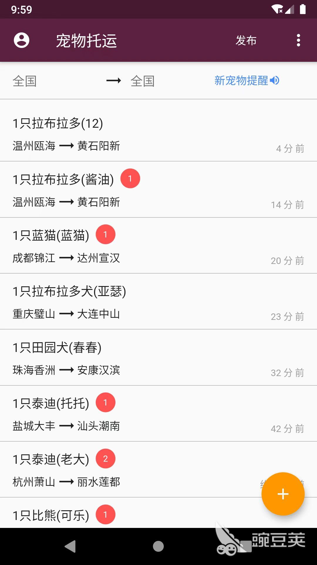 宠物托运平台推荐：安全可靠的宠物运输软件分享