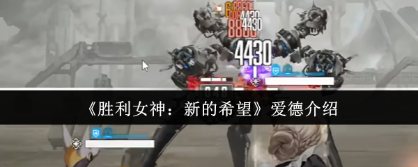 《胜利女神：新的希望》爱德的全面解析与特点分享