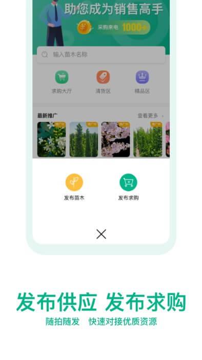 okok苗仓