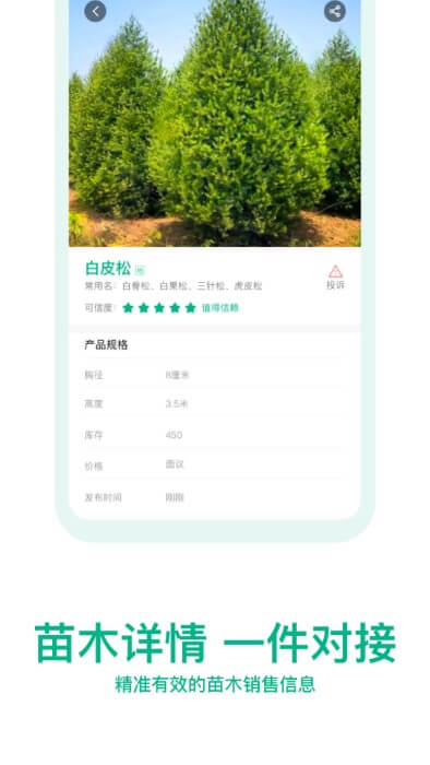 okok苗仓