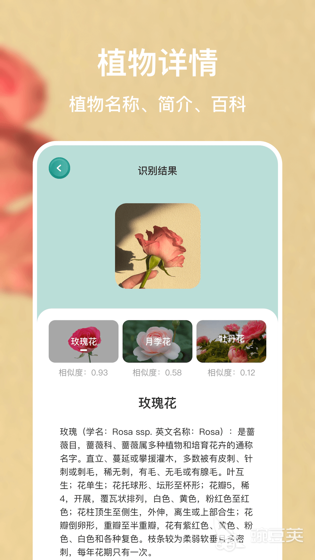 万物识别扫一扫免费软件推荐与下载指南