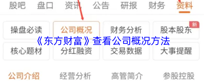 《东方财富》公司概况查询指南