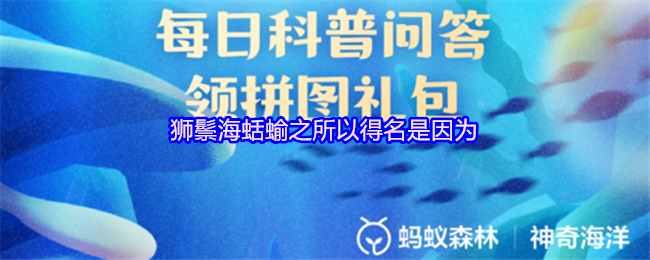 《支付宝》狮鬃海蛞蝓名称的由来解析