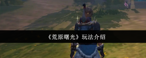 《荒原曙光》游戏玩法全解析