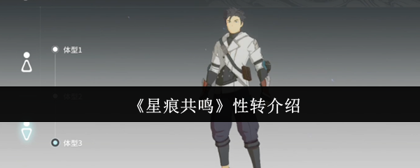 《星痕共鸣》性别转换角色解析与玩法技巧