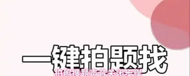 《拍照搜题》拍照搜题静音设置详解