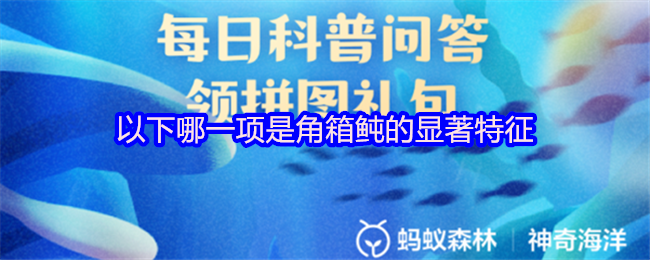《支付宝》角箱鲀的独特特征有哪些？