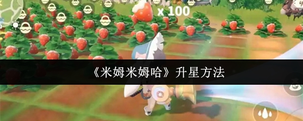 《米姆米姆哈》提升角色星级的有效技巧
