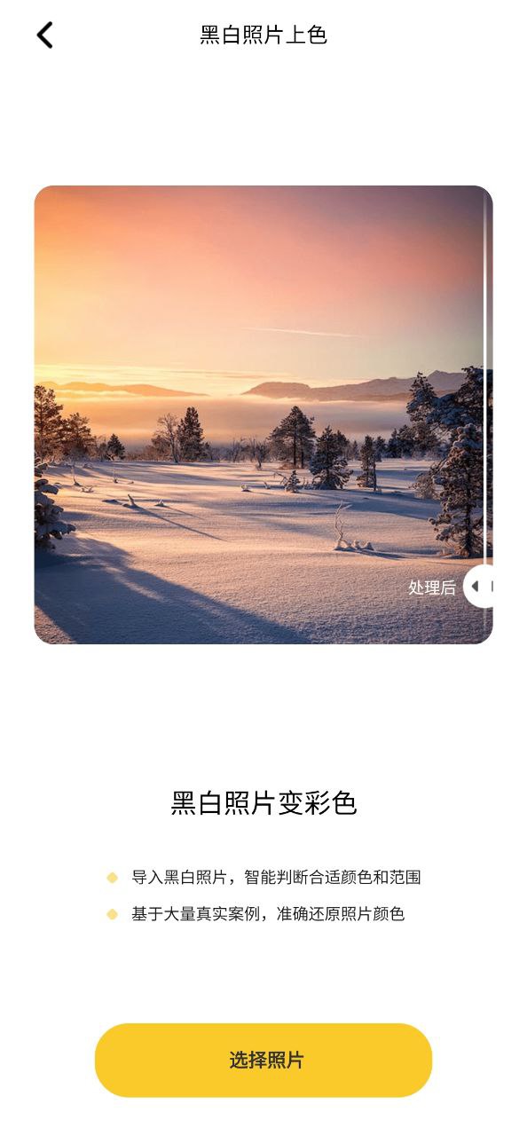 元气ai相机安卓版