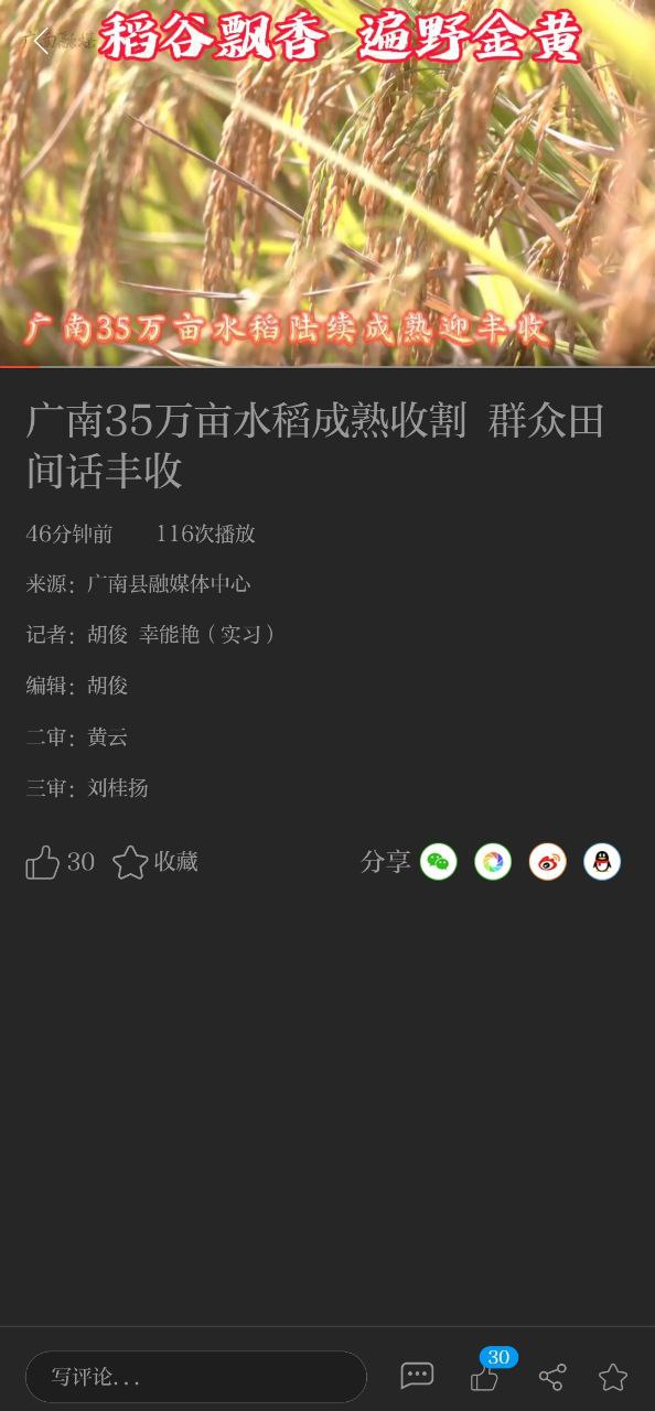 今日广南手机版