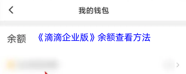 《滴滴企业版》余额查询技巧大揭秘