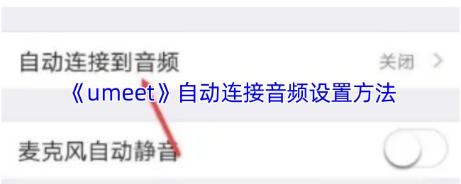 《boom视频会议》自动音频连接设置指南