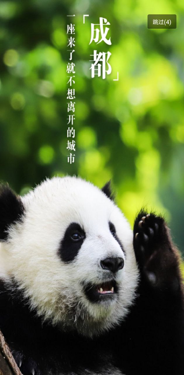 掌游成都安卓