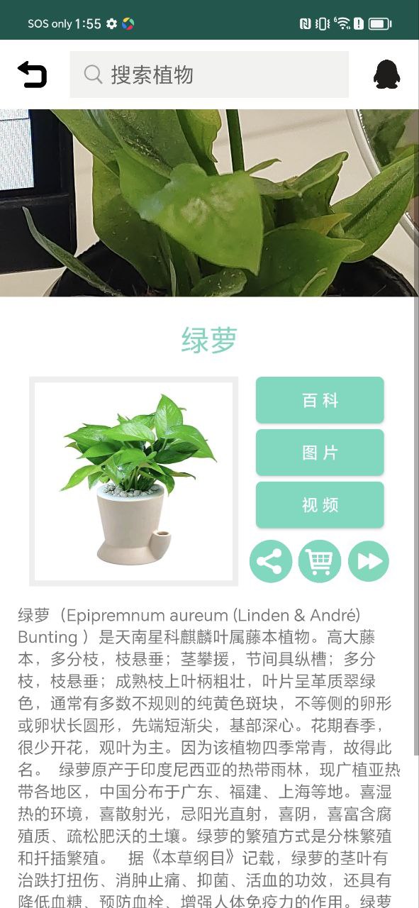 识花草Android版
