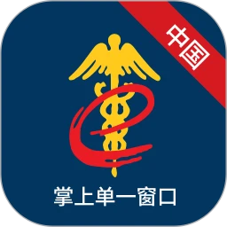 掌上单一窗口软件app