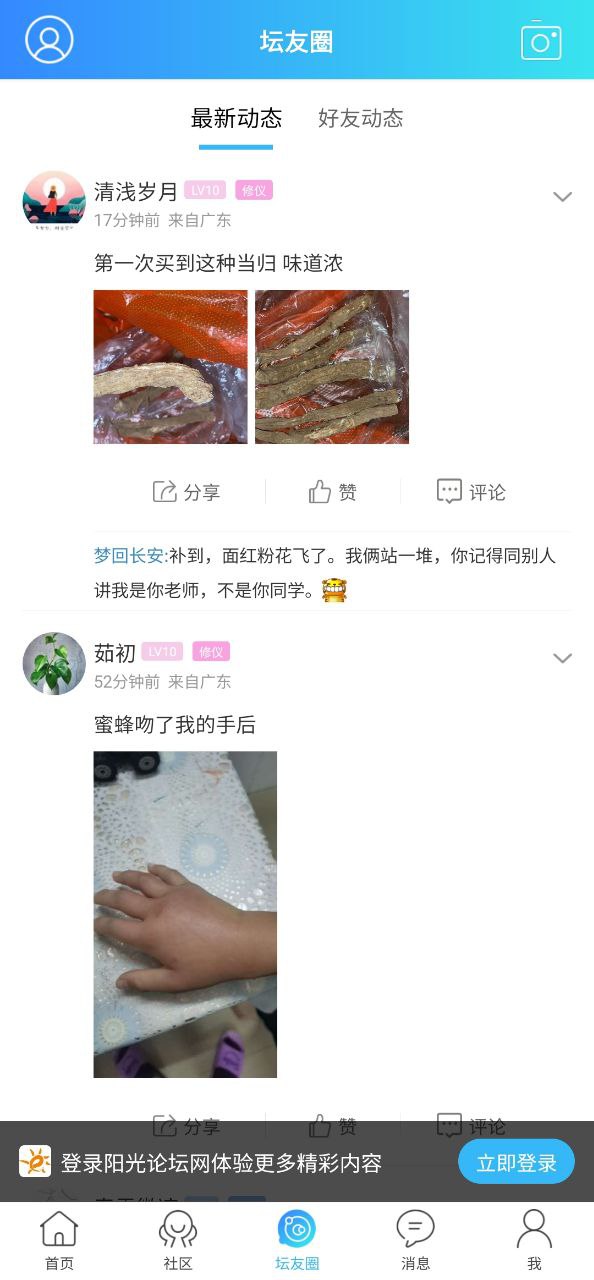 阳光论坛网应用