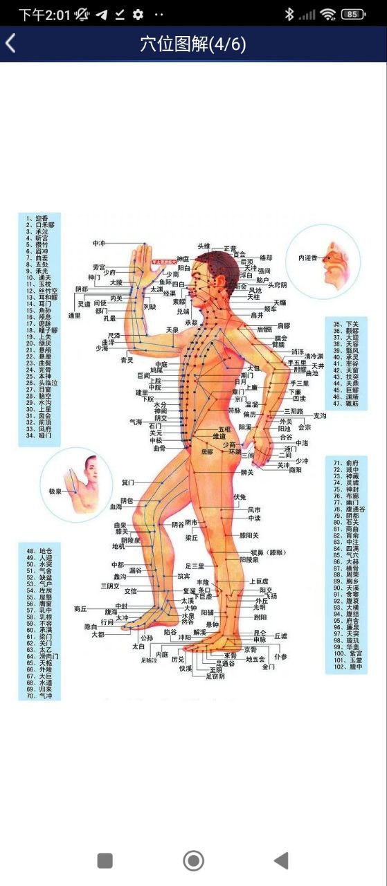 3D人体解剖图谱安卓
