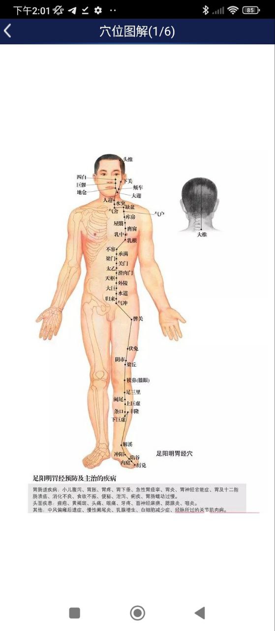 3D人体解剖图谱安卓