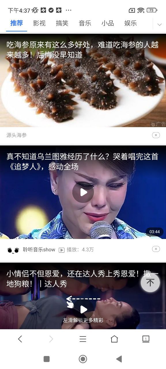 天马浏览器安装