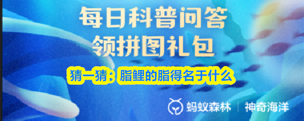 《支付宝》脂鲤的名称来源解析