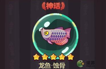 咸鱼之王蚀骨怎么样
